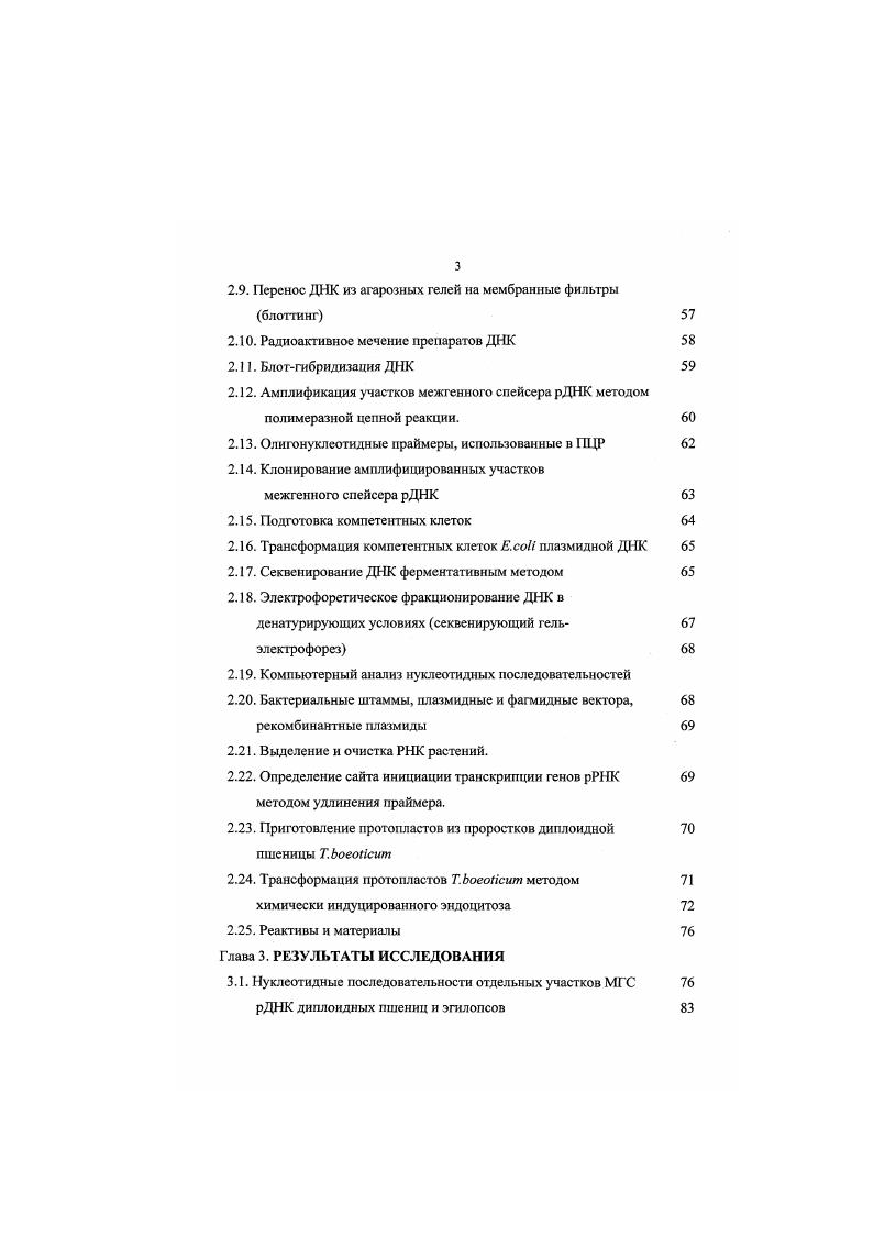 1.2. Структурнофункциональная организация межгенного спейсера 