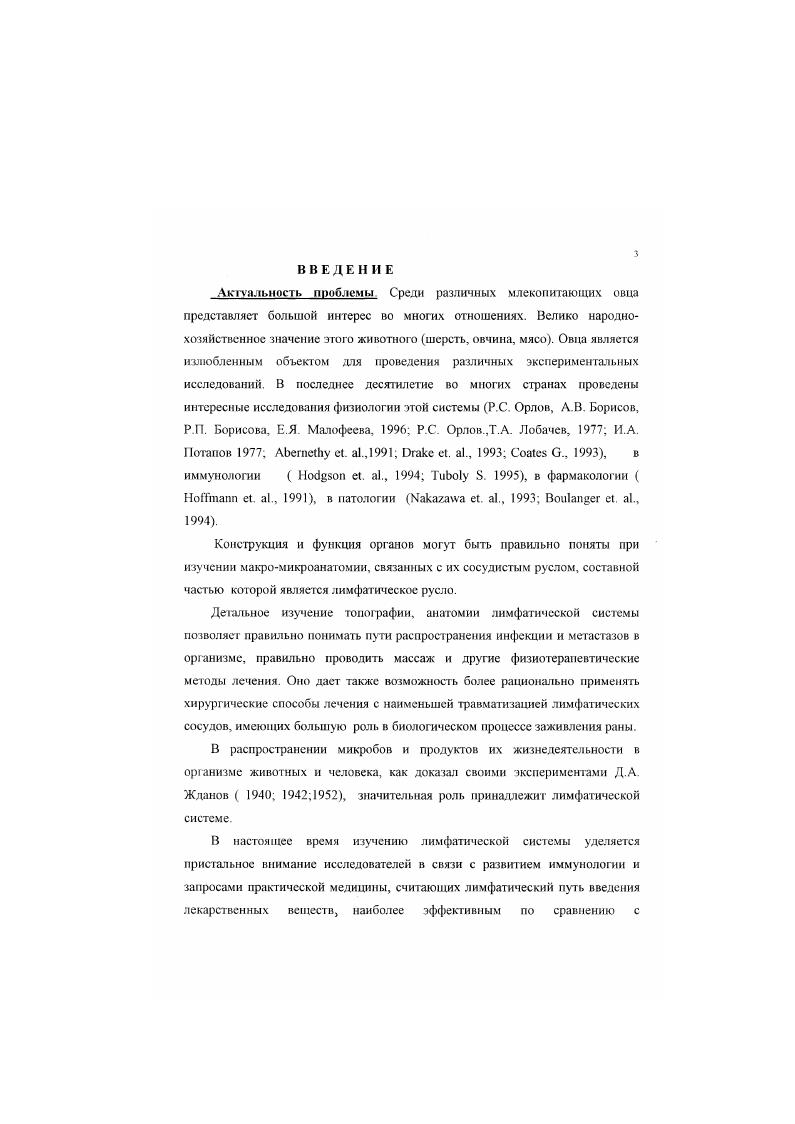 1.2.1. Лимфатические сосуды и регионарные лимфатические узлы грудной конечности овцы