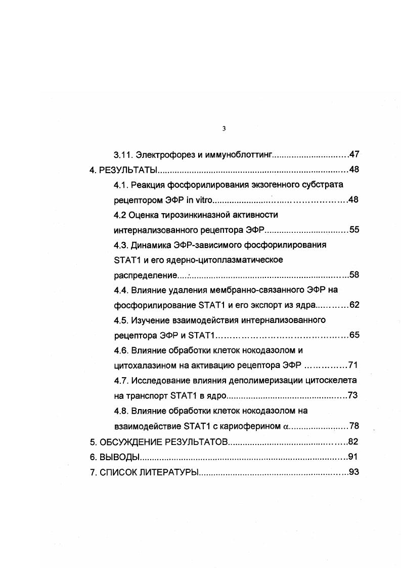 К сожалению, не было проведено количественного сравнения ТК активности интернализованного рецептора ЗФР и рецептора на плазматической мембране, которое принципиально важно для понимания роли интернализации. Необходимо отметить, что процесс интернализации детально изучен на клетках А1, поэтому мы выбрали их в качестве объекта исследования. В последние годы начали появляться прямые доказательства участия интернализованных рецепторов в проведении сигнала. Была показана важность интернализации рецептора ЭФР для активации фосфатидилинозитол3киназы I3 и 1. Vii . X, , . Это демонстрирует актуальность и перспективность таких исследований для широкого спектра мишеней рецептора ЭФР. Складывается картина, согласно которой интернализация рецепторов факторов роста необходима для активации и контроля специфических сигнальных путей. Подобные исследования пока не проводились в отношении белков семейства i iv ii группы латентных цитоплазматических транскрипционных факторов, которые активируются рецепторами цитокинов и факторов роста, транспортируются в ядро и активируют транскрипцию ряда генов , . Причем фосфорилированная форма 1 обнаруживается в ядре уже через 2 мин после начала стимуляции клеток ЭФР. Транспорт в ядро 1 обеспечивается взаимодействием с кариоферином 1 i . Остается недостаточно изученным ряд вопросов, связанных с функционированием белков, и, в частности, 1. Так, остается неясной возможность активации 1 интернализованным рецептором ЭФР, механизм транспорта активированного 1 до ядерной поры, локализация взаимодействия 1 и кариоферинов, обеспечивающих транспорт белков в ядро, роль активированного 1 в цитоплазме и динамика инактивации 1 в ядре. Особый интерес представляет проблема участия цитоскелета клетки в процессе передачи сигнала. Общеизвестно, что рецепторопосредованный эндоцитоз зависит от системы микротрубочек. Установлено, что некоторые важные сигналпередающие белки, такие как МАРК, 2, , РКС связаны с цитоскелетными структурами . Картина существенно усложнилась после открытия семейства аз , и , которые не только регулируют перестройки цитоскелета, но и участвуют в активации I3 и МАР киназ , , . В последнее время также появились данные об участии цитоскелета в транспорте сигнальных молекул в ядро. Было показано, что транспорт в ядро протеинкиназы С и 1. Арнаутов, Никольский, . В связи со всем сказанным выше, в настоящей работе представлялось актуальным изучить ЭФРзависимую передачу сигнала через транскрипционный фактор 1 и участие в этом процессе интернализованного рецептора ЭФР. Методом фосфорилирования синтетического субстрата I vi нам удалось продемонстрировать, что в клетках А1 интернализованный рецептор ЭФР имеет такую же тирозинкиназную активность, как и рецептор, находящийся на плазматической мембране. Это свидетельствует о возможности проведения сигнала через интернализованный рецептор ЭФР. Используя метод субклеточного фракционирования мы изучили динамику ЭФРзависимого перераспределения 1 меаду ядерной и цитоплазматической фракциями клеток А1. А1. Удаление ЭФР после стимуляции клеток вызывает дефосфорилирование 1 в цитоплазме и ядре в интервале от мин до 1 часа и уменьшение содержания 1 в ядре до контрольного уровня. Мы исследовали возможность активации фактора 1 интернализованным рецептором ЭФР. Используя метод субклеточного фракционирования органелл в градиенте Перколла и коиммунопреципитацию нами впервые продемонстрировано ЭФРзависимое взаимодействие 1 и интернализованного рецептора, находящегося в составе ранних эндосом. Иммунофлуоресцентными и биохимическими методами была изучена зависимость транспорта 1 в ядро от целостности цитоскелета клетки. Нами впервые показано, что ЭФРиндуцированный транспорт активированного 1 в ядро тормозится при разрушении микротрубочек под действием нокодазола, но не зависит от системы микрофиламентов. При этом обработка нокодазолом не препятствует образованию комплекса между фосфорилированным 1 и кариоферином а, и наблюдается накопление этого комплекса в цитоплазме. На основании этого сделано предположение о том, что взаимодействие комплекса Iкариоферин а с цитоскелетом может быть существенным элементом функционирования механизма транспорта 1 из цитоплазмы в ядро. 