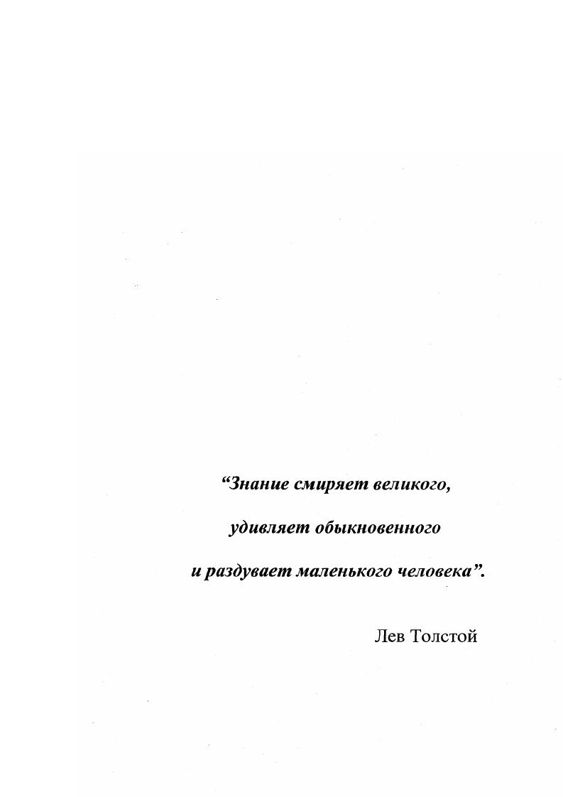 1.1.2. Квазиграфитовые углеродные материалы 