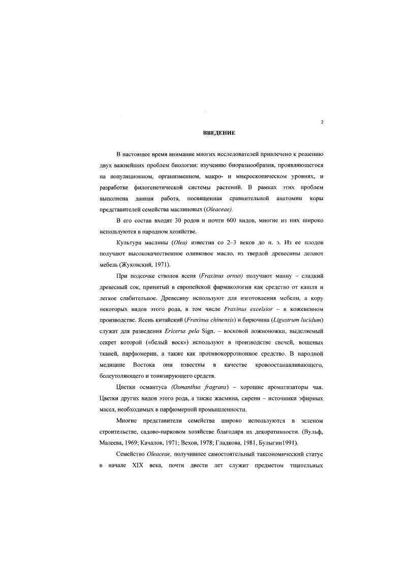 1.2. Общая характеристика семейства Окасеае.