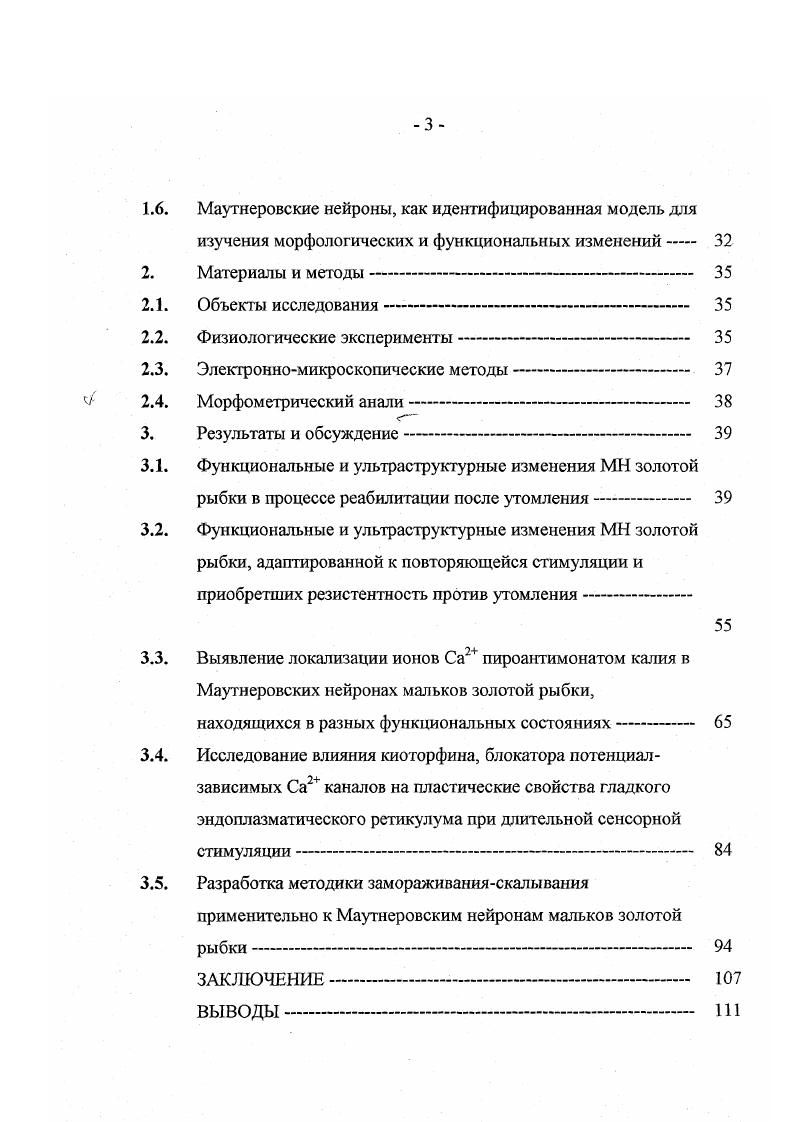 1.2. Структурная и функциональная организация