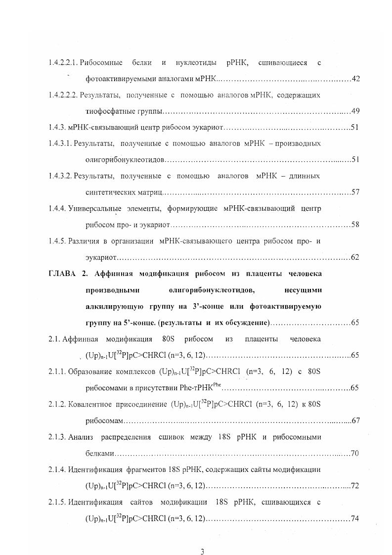 1.3.1. Стадия элонгации трансляции. 