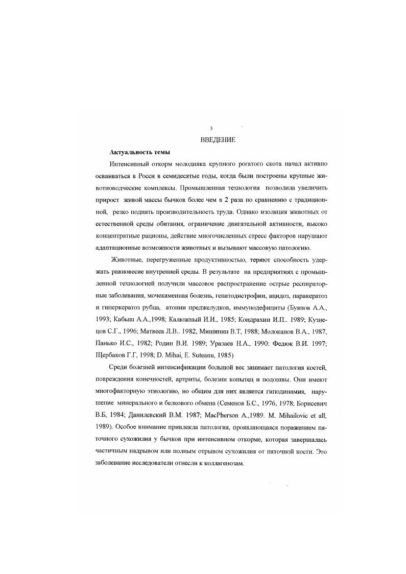 1.2.Этиология коллагеноза у бычков.