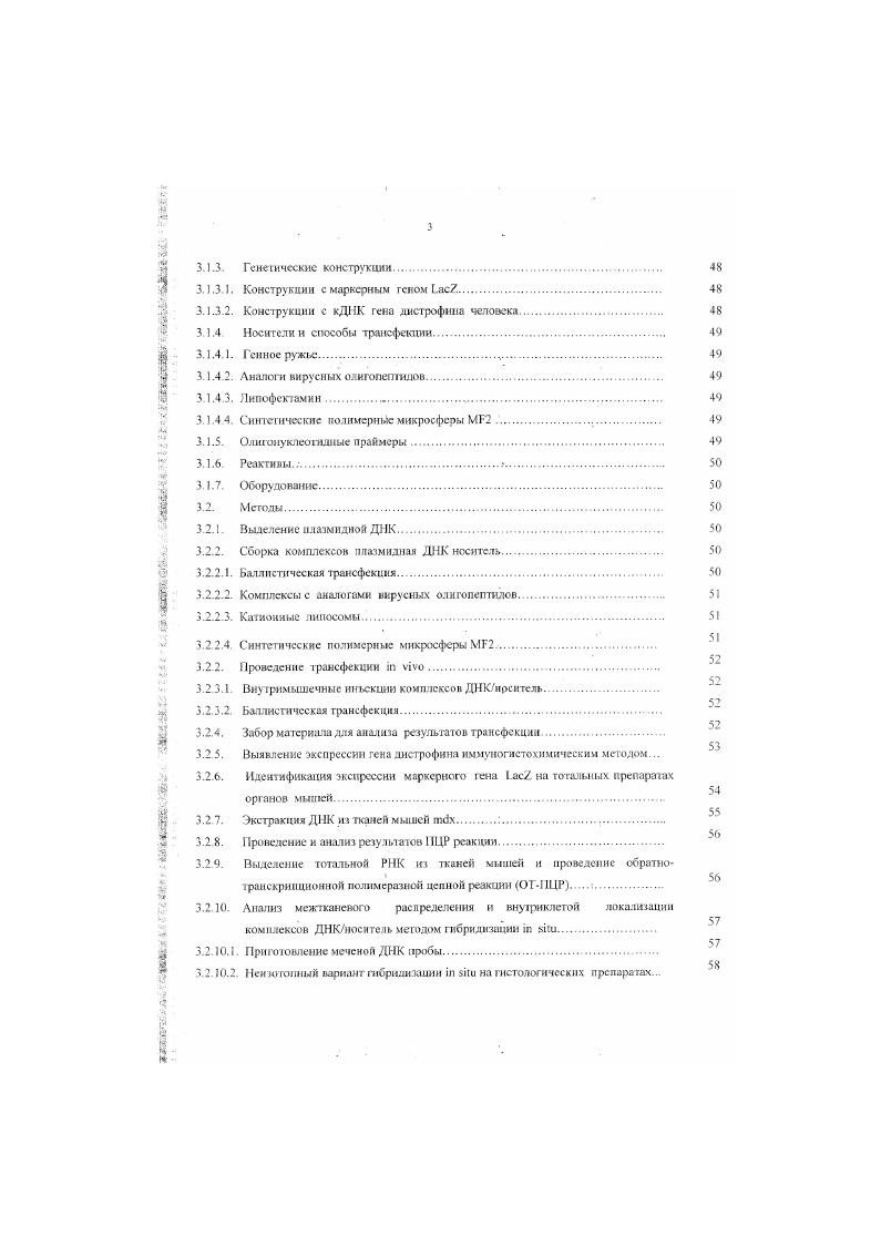 2.3. Белковый продукт гена дисгрофина 