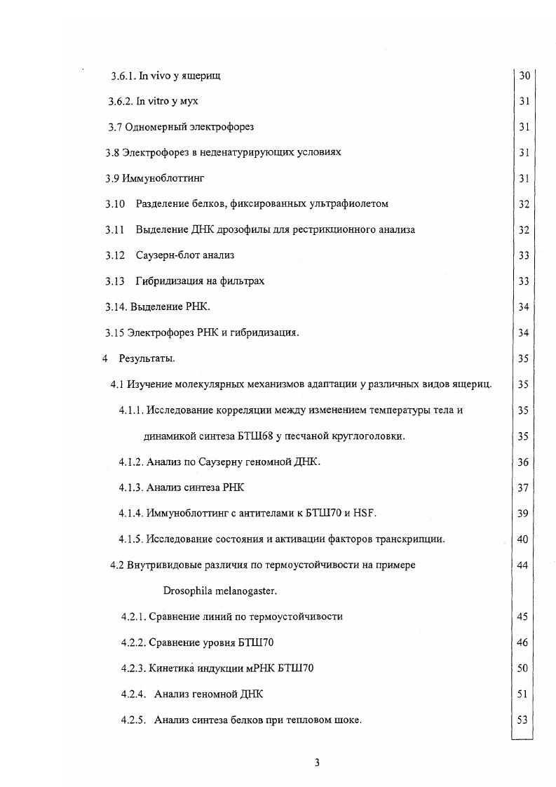 Поэтому моделью для изучения адаптации организмов к неблагоприятным факторам внешней среды можно избрать одну систему систему теплового шока. Белки компоненты этой системы объединены в семейства белки теплового шока БТШ и факторы транскрипции генов теплового шока НББ . Хотя БТШ впервые получили известность, как продукты генов, экспрессия которых вызвана теплом или другим стрессовым воздействием, сейчас многие исследователи рассматривают роль БТШ в качестве молекулярных шаперонов. В результате, найдено, что БТШ играют разнообразную роль в нестрессовых клеточных процессах скручивании, связывании, внутриклеточной локализации, секреции, регуляции и деградации других белков. Недостаточная их активность лежит в основе многих болезней человека. Но многие вопросы остаются нерешенными. Применимы ли выводы о роли БТШ в устойчивости к стрессовым воздействиям, основанные на лабораторных результатах, полученных главным образом на клеточных культурах, к целым организмам. Поэтому необычайно актуальны исследования экспрессии БТШ на природных объектах, взаимосвязи интенсивности синтеза БТШ с условиями обитания. Эволюционные изменения в самих БТШ и генах, их кодирующих, у близкородственных организмов обитающих в различных экологических нишах, нуждаются в подробном рассмотрении. Обзор литературы. Стресс и индукция синтеза БТШ. В зависимости от географического положения организмы подвергаются действию температуры 0 0 С , давления, радиации, химических реагентов, испытывают недостаток кислорода, пищи и воды, воздействие человека. В ответ на все перечисленные воздействия индуцируется синтез БТШ. Таким образом, экспрессия БТШ носит общий характер. Иногда благодаря передвижению и или поведению животным удатся избежать стресса и соответственно индукции БТШ , . В ходе эволюции некоторые организмы адаптировались к жизни в широком интервале температур, а другие способны переносить лишь незначительные температурные колебания. Так даже незначительное повышение температуры С воды вызывает повышение уровня БТШ у многих морских видов . БТШ вызывает повышение температуры на 5 градусов . У нагретых на воздухе моллюсков, температура тела на градусов больше, чем морская вода, наблюдается индукция БТШ , . Та же картина характерна для эмбрионов креветок i , . Воздействию теплового шока могут подвергаться и очень подвижные рыбы i , . У наземных животных больше возможностей в выборе температурного режима. Но предпочитающие более прохладную погоду саламандры при случайном попадании на солнечные стороны камней, начинают синтез мРНКБТШ . Растения ограничены в возможности перемещения за исключением пыльцы. Разнообразие синтеза БТШ позволяет им выживать в горячих условиях Кее , . Рядом авторов получены данные по экспрессии БТШ у некоторых растений в природе i . Vii, . БТШ в течение дня, особенно в жаркую погоду . Растения не только при воздействии тепла, но и холода вырабатывают БТШ . V . Для пустынных растений характерен конститутивный синтез БТШ, а также БТШ в вегетативных тканях, обуславливая толерантность к высушиванию, перегреванию i . Найдена индукция БТШ у животных, живущих внутри растений и на их поверхности , . Так личинки и куколки i, подвергающиеся нагреву свыше С , , синтезируют БТШ. Уникальный вид пустынное насекомое ii в случае опасности гложет поддерживать температуру тела больше С . Уровень всех семейств БТШ у этого вида значительно повышен отражена готовность к резкому повышению температуры i , . Различные насекомые в ответ на холод или во время диапаузы синтезируют БТШ, различающиеся по тканевой специфичности и регуляции развития i . Холодовая индукция БТШ наблюдалась также у некоторых видов грызунов . У эукариот любая гипертермия вызывает активацию фактора транскрипции теплового шока , повышение уровня БТШ как постоянно экспрессирующихся, так и индуцибельных , i . Но картина проявления экспрессии БТШ может значительно варьировать у разных организмов даже в одинаковых условиях, что говорит о различных типах е регуляции. Взаимосвязь между ответом на тепловой шок и синтезом БТШ. Некоторые авторы не усматривают очевидной связи между БТШ и стрессом при адаптации организмов . 