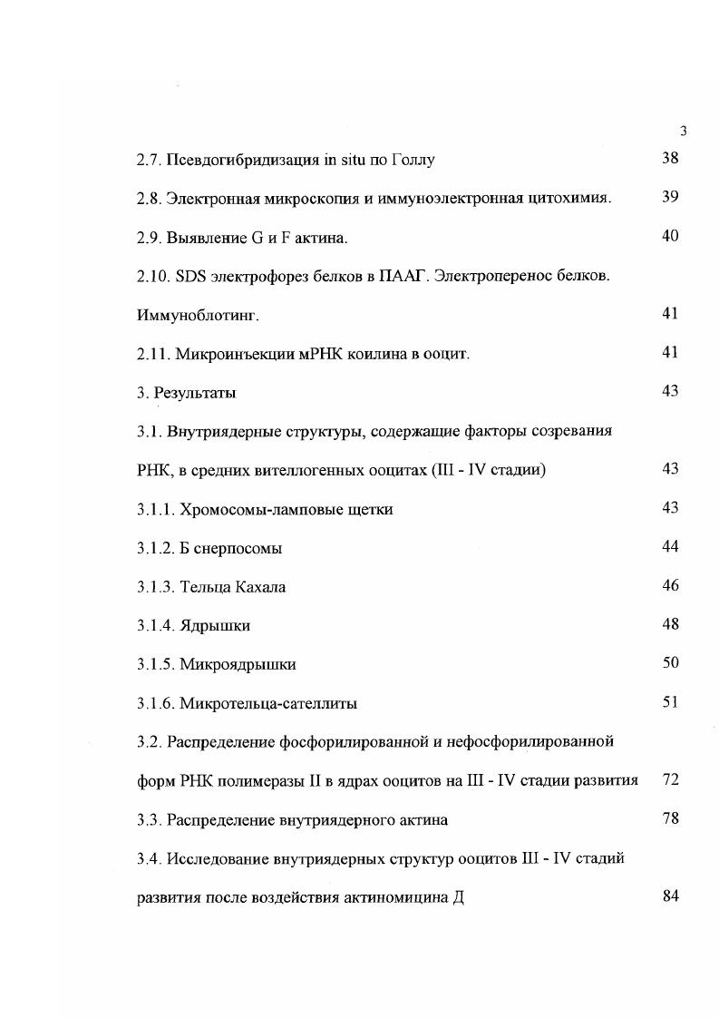 1.3. Бснерпосомы и кластеры интерхроматиновых гранул 