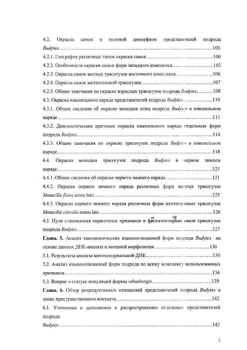 1.2. Внешние морфологические признаки трясогузок подрода 