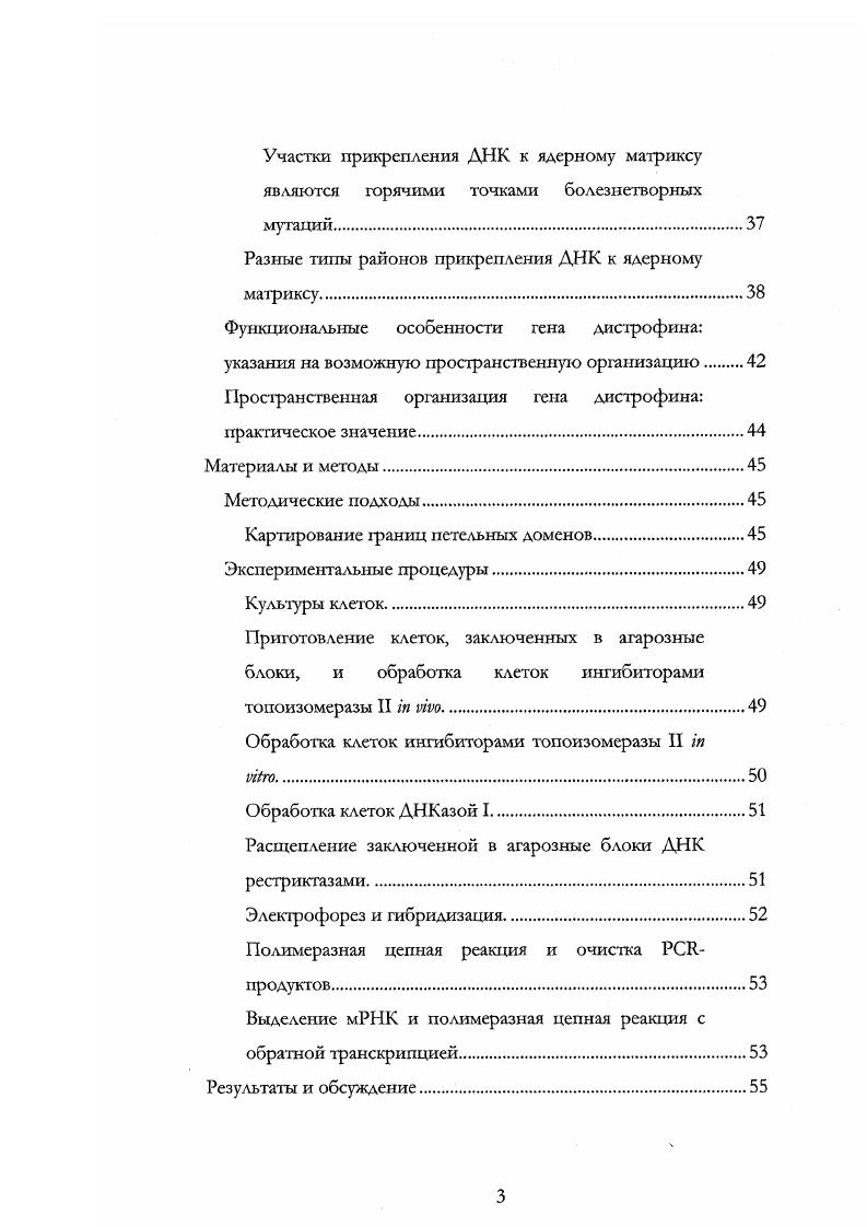 Доменная структура генома