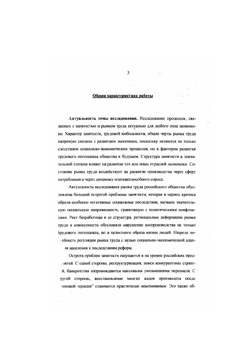 Научный руководитель д.э.н., Дубов И.В.