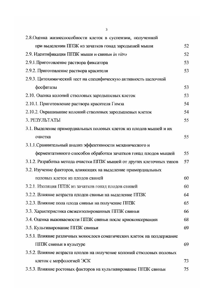 1.2. Локализация, идентификация, миграция и пролиферация