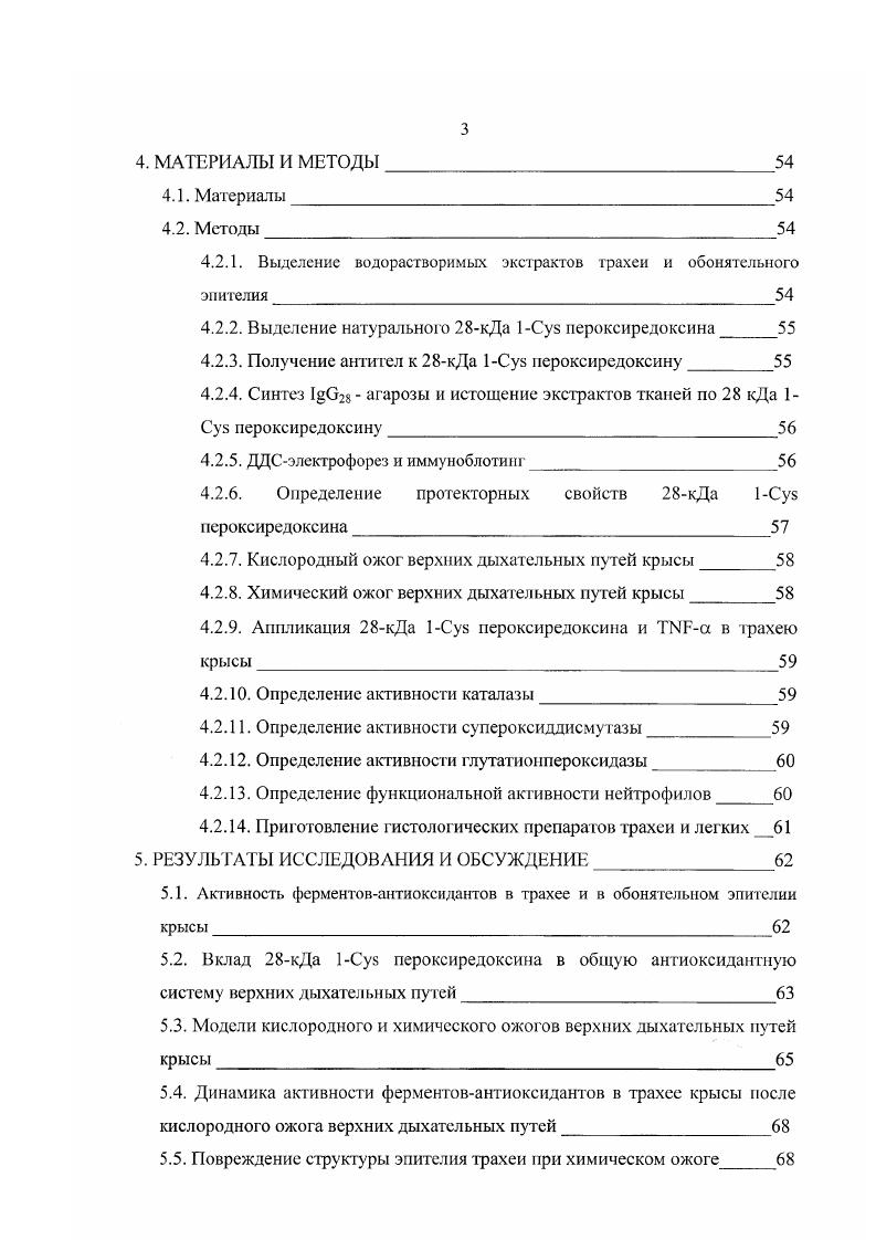 С другой стороны, развитие воспалительной реакции в органах дыхания запускает процесс миграции лейкоцитов, особенно нейтрофилов, которые могут усиливать окислительный стресс за счт так называемого респираторного взрыва. Повреждение клеток и органелл происходит как результат прямого действия активных форм кислорода или образования перекисей и продуктов их распада. Если данный процесс не контролируется, эта каскадная реакция может приводить к обширному повреждению клеточных мембран и биологических макромолекул. Для предотвращения и восстановления повреждений, вызванных активными формами кислорода, клетки органов дыхания выработали ряд защитных механизмов. Главную роль в предотвращении серьезных метаболических нарушений в клегке выполняют антиоксидантные ферменты супероксиддисмутаза, каталаза и глутатионперокеидаза. Исследования, проводимые в Институте биофизики клетки РАИ в течение последних лет, привели к открытию нового белкаантиоксиданга кДа пероксиредоксина. I.V. Пешенко И. В. и др. I6. Данный белок принадлежит к недавно открытому семейству тиолспецифических антиоксидантов или пероксиредоксинов и является первым идентифицированным секреторным псроксиредоксином. В нативном состоянии он представляет собой димер, образованный, повидимому, за счт водородных связей. Биохимические исследования показали, что кДа 1 пероксиредоксин в присутствии некоторых тиолов обладает способностью нейтрализовать как органические, так и неорганические перекиси Андреева С. Г. и др. Его протекторная активност, определяется, в основном, пероксидазной активностью, которая проявляется только в присутствии дитиотреитола Новослов В. И. и др. Максимальное содержание кДа пероксиредоксина наблюдается в тканях, непосредственно контактирующих с атмосферой обонятельный эпителий, трахея, бронхи, эпидермис кожи, как было показано ранее vv . V. . Данная работа является продолжением исследований, проводимых в лаборатории биофизики рецепции ИБК РАН и посвящена исследованию антиоксидантных систем эпителиальных тканей крысы в норме и при различных патологических состояниях, а также изучению вклада кДа 1 пероксиредоксина в общую антиоксидантную систему органов дыхания. Для решения этих задач предполагалась разработка экспериментальных моделей повреждения органов дыхания па животных, позволяющих исследовать динамику экспрессии антиоксидантов, а также изучать динамику изменения функциональной активности нейтрофилов и структурных повреждений в эпителиальной ткани. Кроме того, в задачу нашей работы входило исследование возможности проведения коррекции нарушений, вызванных в эпителии верхних дыхательных путей крыс. Система полостей и трубок, которая приводит окружающий воздух ко всем частям легкого, образует воздухоносные пути дыхательной системы. К ним относят носовую полость, носоглотку, гортань, грахею и бронхи. В воздухоносных путях по мере продвижения воздуха происходит очищение, увлажнение, приближение температуры вдыхаемого воздуха к температуре тела, рецепция газовых, температурных и механических раздражителей, регуляция объема вдыхаемого воздуха, а также секреция биологически активных веществ . Мотавкин П. А. и Гельцер Б. И., . Гортань также принимает участие в звукообразовании. В ней различают преддверие и собственно носовую полость, включающую дыхательную и обонятельную области. Преддверие образовано полостью, расположенной иод хрящевой частью носа. Оно выстлано многослойным плоским эпителием, который является продолжением эпителиального покрова кожи. Под эпителием в соединительнотканном слое находятся многочисленные волосяные фолликулы, а также отдельные потовые и сальные железы. Волосы носовой полости задерживают пылевые частицы из вдыхаемого воздуха. В более глубоких частях преддверия волосы становятся короче и количество их уменьшается. Внутренняя поверхность собственно носовой полости в дыхательной части покрыта слизистой оболочкой, состоящей из многорядного призматического реснитчатого эпителия и соединительнотканной собственной пластинки Афанасьев Ю. И. и Юрина , . 