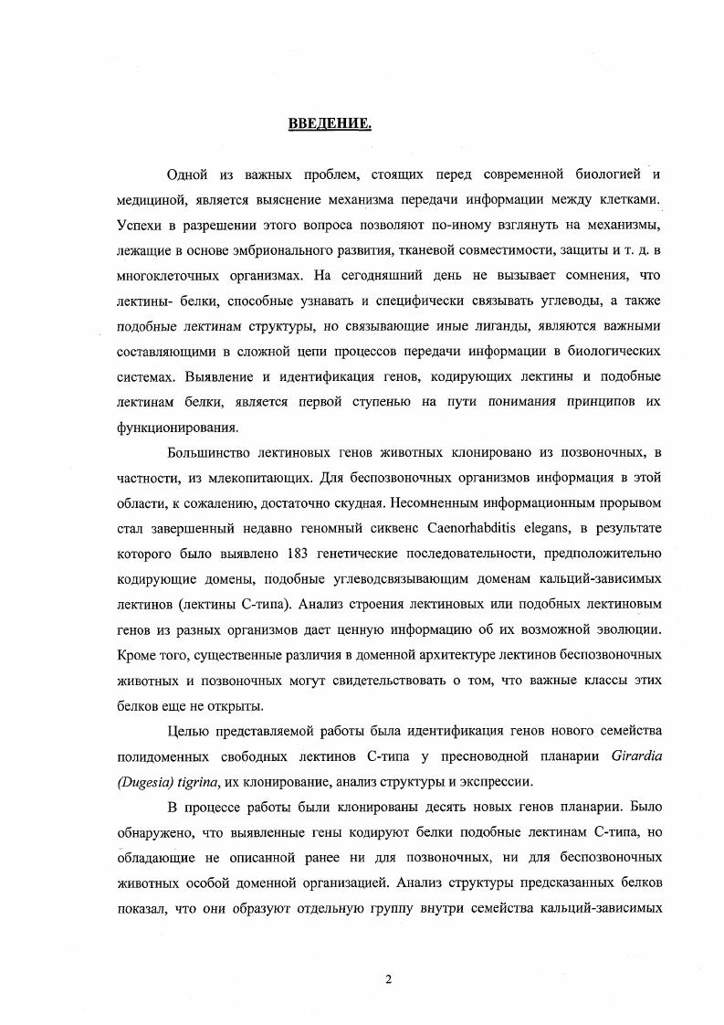 1.2. Структурные особенности УСД леюгинов Стипа 