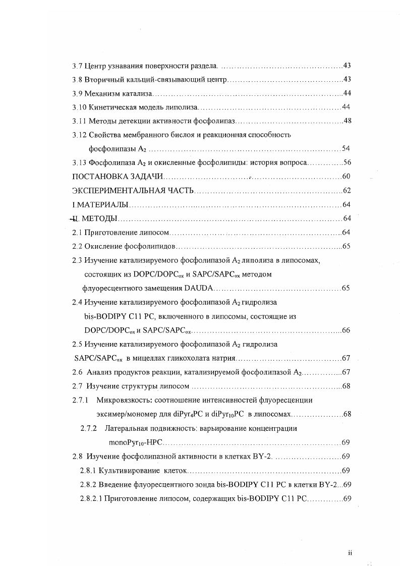 1.1 Клетки мешки с ферментами или нечто большее