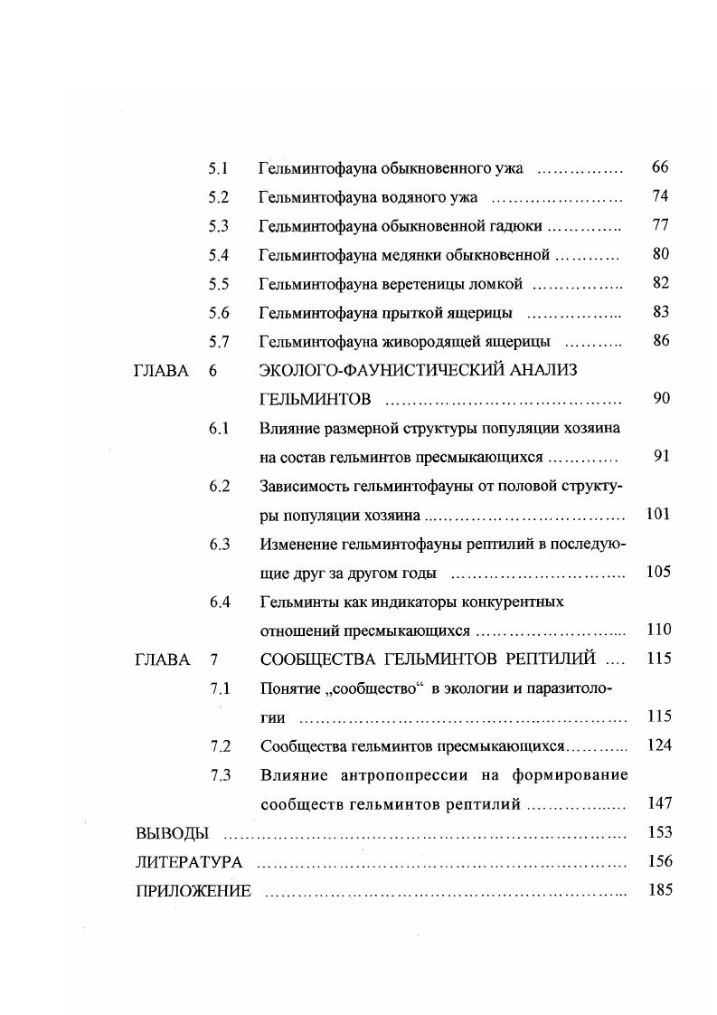 2.4.2 Змеиный затон 
