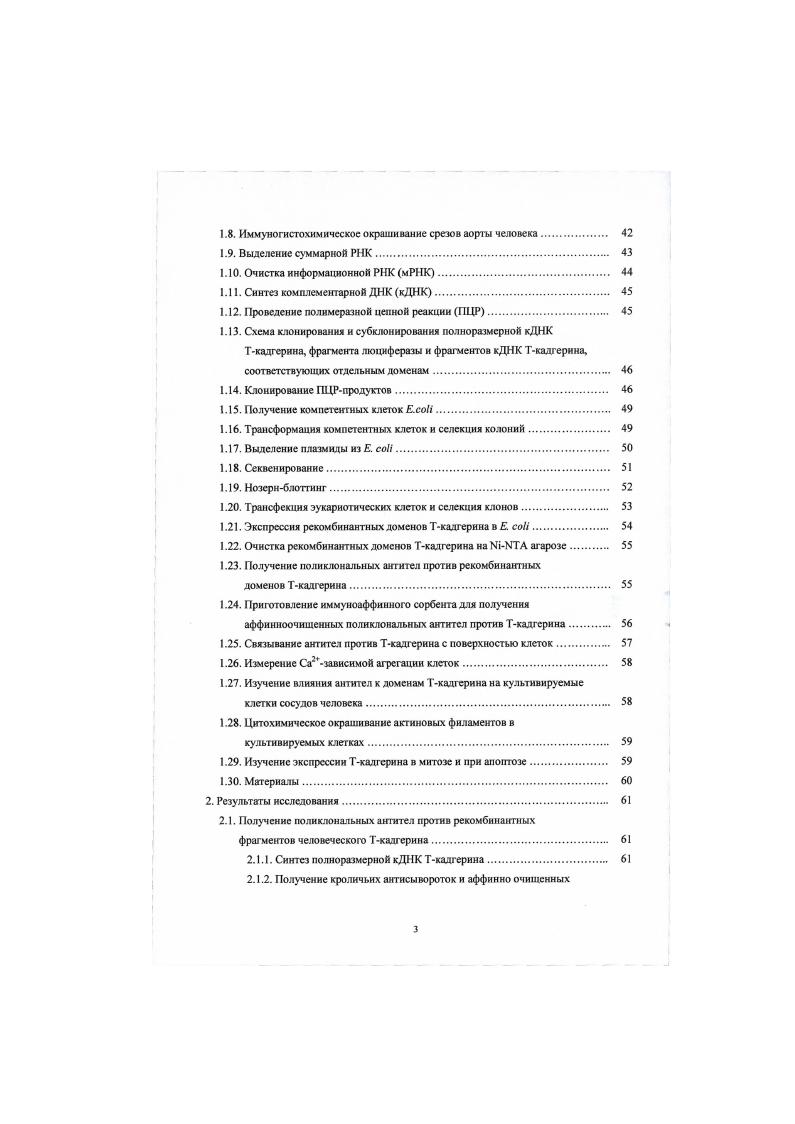 1.1. Структура классических кадгерннов. 