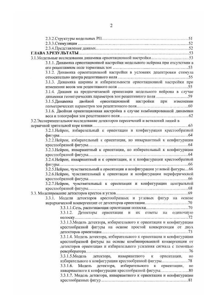1.3. Динамика ориентационной настройки зрительных нейронов.