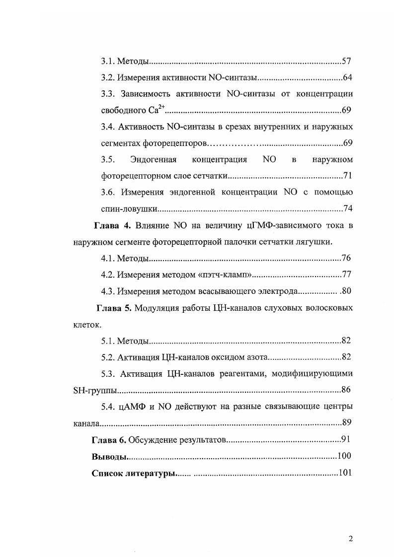 1.4. Механизм проведения зрительного возбуждения