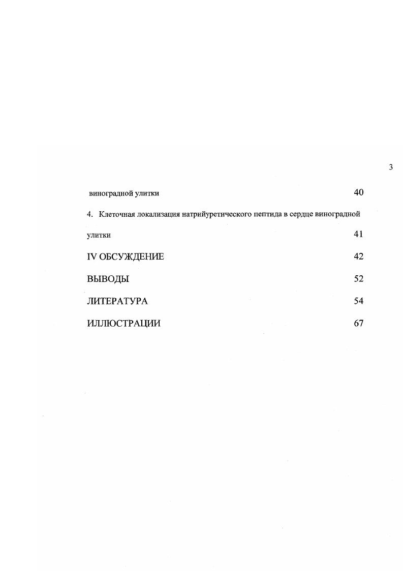 2. Классификация мышечных тканей беспозвоночных 