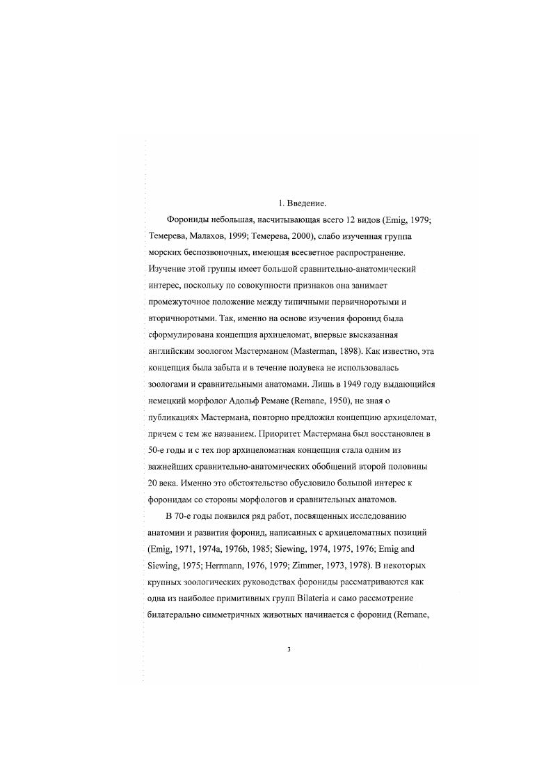 4.6. Мускулатура стенки тела.