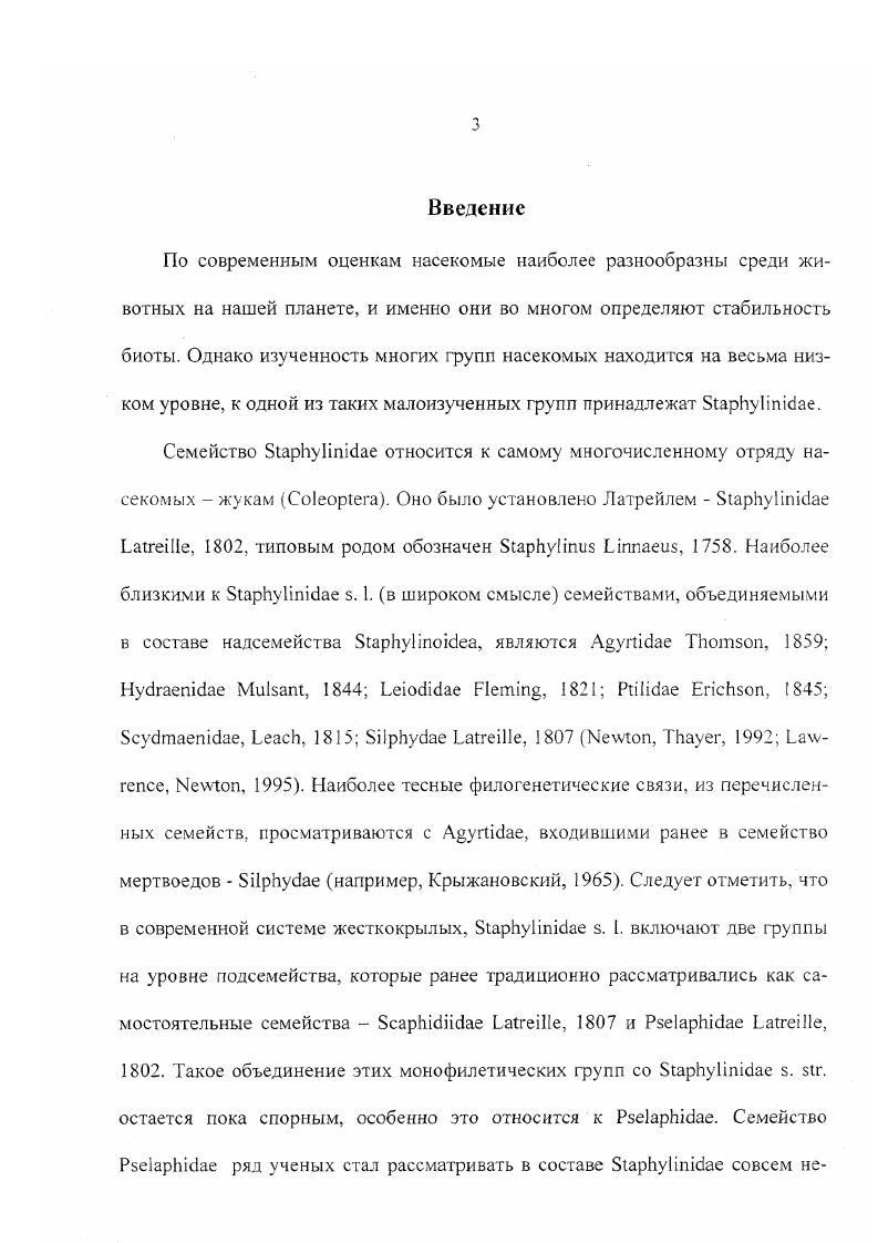 Общая морфология имаго родов i и i.