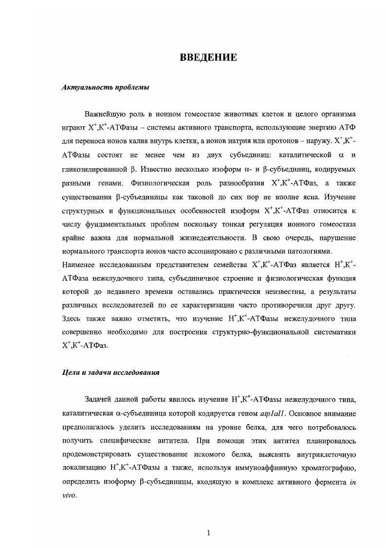 1.2. Семейство генов ЫаКНКЛТФаз, ткансспецифичность и сплайсинг 