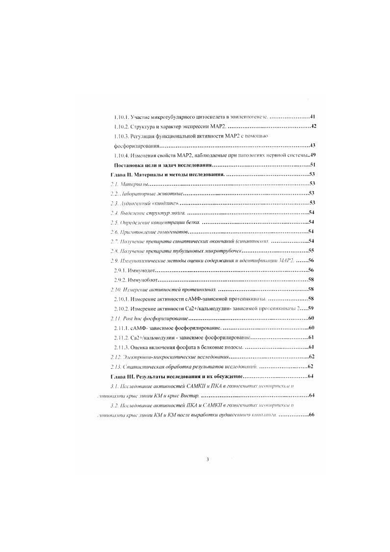 1.2.1. Ведущая роль ГЛМК к глутамата в эпилептогенезе.