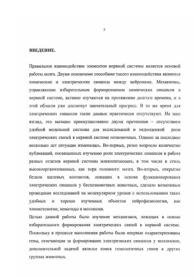 1.2. Принципы формирования межнейронных связей в нервной системе 