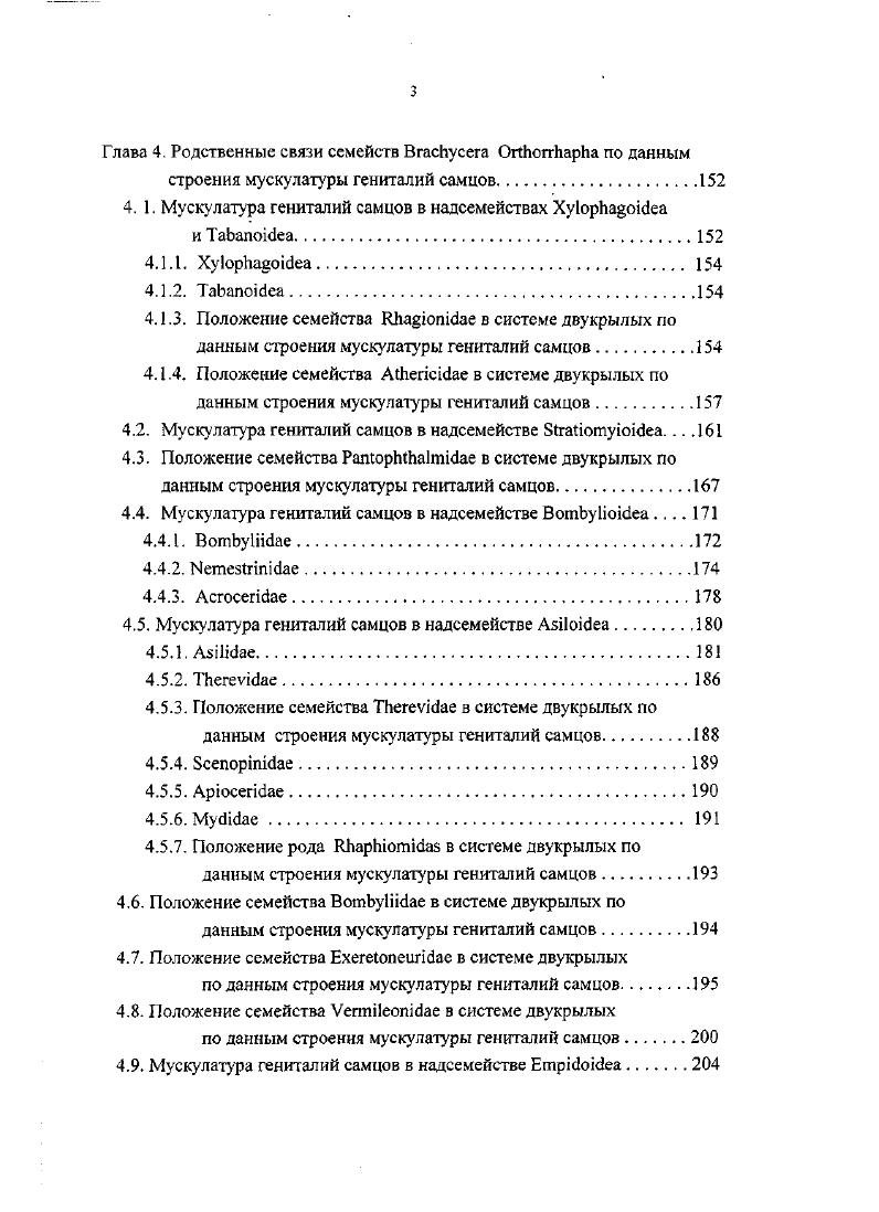 гениталий самцов ОгШоггЬарЬа и СусЬггЬарИа