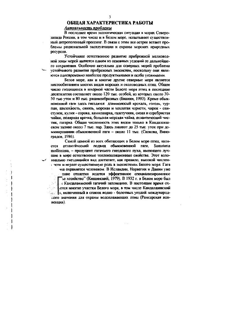 Диссертация в виде научного доклада разослана  6    г.