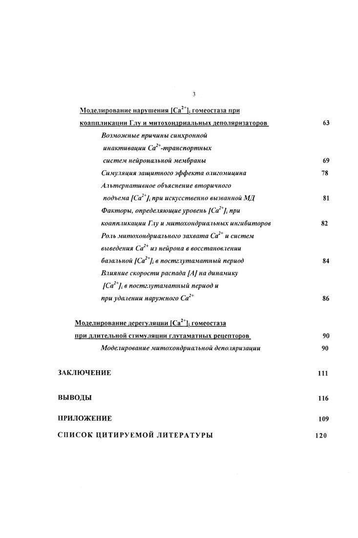 Глуиндуцированные изменения Са2 гомеостаза нейрона 