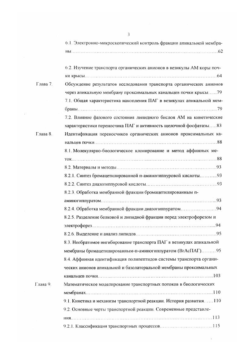 структурная полярность эпителиальных клеток 