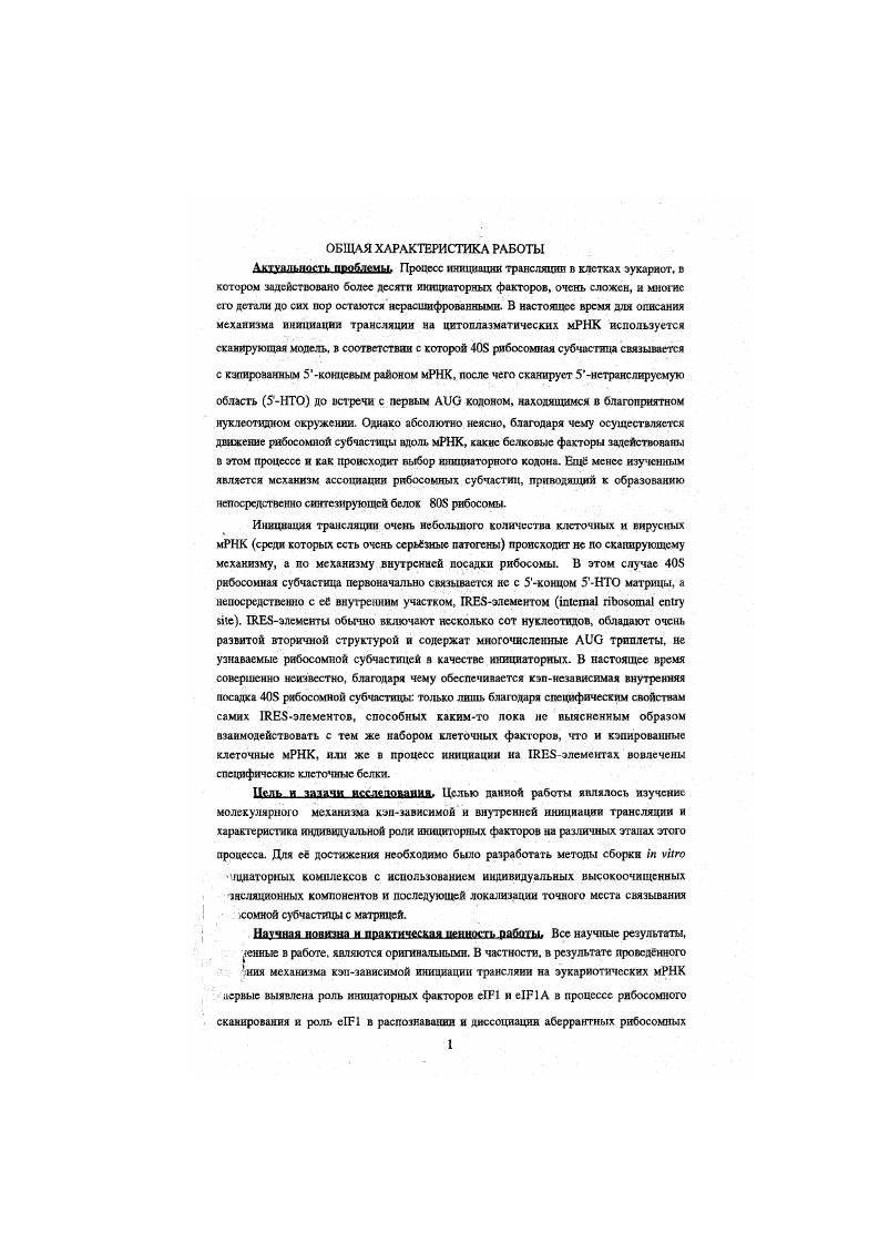 Во второй части работы проведено исследование молекулярного механизма внутренней инициации трансляции РНК вирусов экцефаломиокардита, Тсйлсра и ящура семейство пикорнавирусов, вирусов гепатита С и классической лихорадки свиней семейство флавмвирусов и вируса паралича сверчка семейство пикориаi вирусов насекомых. Показано, что все три группы вирусов используют различные механизмы внутренней инициации. Механизм инициации трансляции пикорнавирусных РНК включает специфическое взаимодействие участка 5нетранслируемой области вирусных РНК с гапщиаторным фактором I4, в то время как механизм инициации трансляции РНК вирусов гепатита С, классической лихорадки свиней и паралича сверчка основан на специфическом взаимодействии их ретранслируемых областей с рибосомной субчастицсй, при этом инициация трансляции на РНК вируса паралича сверчка вообще не требует участия какихлибо иницнаторных факторов. Результаты работы имеют фундаментальное значение для изучения механизма белкового синтеза в клетках эукариот, а данные исследования механизма внутренней инпцации трансляции РНК вируса гепатита С в настоящее время используются несколькими фармацевтическими компаниями в сотрудничестве с автором данной работы для разработки новых ангивирусных препаратов. Апробация работы. Материалы диссертации были доложены автором на следующих симпозиумах и конференциях Симпозиумы i i , , , , , i i iiv i i , , Конференция Ii i i i iii i, , , Vi Международный Симпозиум по вирусному гепатиту Мадрид, Испания, , V Международная Конференция по вирусному гепатиту и родственным вирусам Венеция, Италия, , X i i ivi Маттината, Италия, , Семинар Европейских МолекулярноБиологических Лабораторий Гейдельберг, Германн, , i i Ньюпорт, США, и на заседании открытого совместного семинара отдела взаимодействия вируса с клеткой Научноисследовательского Института Физикохимической биологии нм. А.Н. Белозерского МГУ и лаборатории биохимии вирусов Института Полиомиелита и Вирусных Энцефалитов РАМН, Москва, . Публикации. По теме диссертации опубликовано статей и более тезисов. Механизм образования инициагорных комплексов в процессе 5концевой инициации трансляция на эукариотических мРНК. М.Козак , . В соответствии с этой моделью Рис. На первой стации гстсротримсрныи эукариотический иипциаторный фактор I2 состоящий из а, Р и у субъединиц с молекулярным весом , и кД, соответственно связывает ГТФ и инициаторную мстионилтРНК i, образуя тройственный комплекс I2Ii, который в свою очередь вместе с мультисубъединнчным инициаторным фактором I3 субъединиц с молекулярным весом от до 0 кД взаимодействует с рибосомой субчастяцей, образуя прекннциаторнын комплекс. Далее прсиницнаторкый комплекс связывается с 5концевым участком мРНК, вторичная структура которого предварительно расплавляется при участии факторов инициации I4, I4 и I4. Д имеет специфическое сродство к кэпструктуре т7метилуанозин, связанный с 5концевым нуклеотидом трифосфатной связью, расположенной на 5кощс мРНК. Д связывает две другие субъединицы I4, а также мультисубъединичный I3 и, таким образом, играет центральную координирующую роль. I4 кД x РНКхелихаза и РНКзависимая АТФаза, существующая в клетке в двух формах в свободном виде и в составе 4. Хеликазная активность свободной формы усиливается в присутствии СК4В кД. Три инициаторных фактора I4, I4 и I4 кооперативно связываются с 5концевым участком мРНК и осуществляют локальное расплетание ее вторичной струхтуры, позволяющее комплексу связаться с этим районом мРНК, вероятнее всего, посредством взаимодействия I3, входящего в состав комплекса, с 4 субъединицей 4. Сканирующая модель постулирует, что после связывания с 5кокцсвым участком мРНК преинициаторный комплекс начинает ЛТФэависимое движение вдоль мРНК до встречи с кодоном, находящимся в благоприятном нуклеотидном окружении и обычно расположенном на расстоянии 0 нуклеотидов от 5конца матрицы. В результате анализа первичной структуры эукариотических мРНК был выведен оптимальный контекст кодона при этом наиболее важным является присутствие А в 3 и в 4 положениях Ко2ак. Считается также, что наличие шпильки на расстоянии около нуклеотидов к Зконцу от кодона усиливает узнавание его как инициаторного , . ЫР4В. Рнс. Схема образования 8 иницнаторвого комплекса. Ряс. Схема оергмпй анализа. 