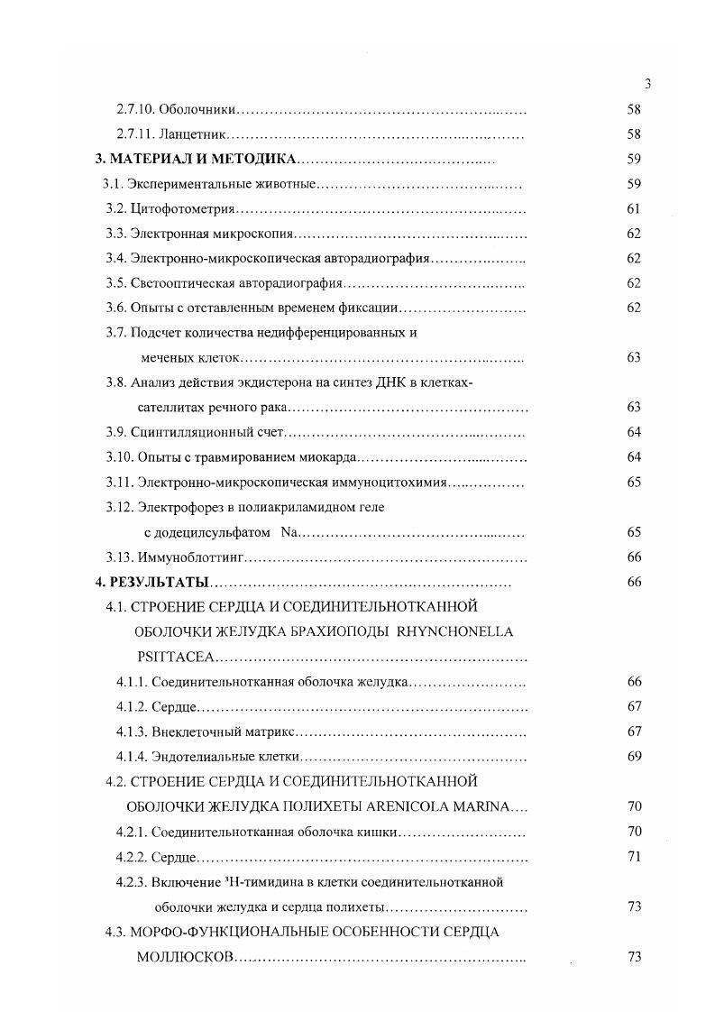 Путем анализа разведения 3Нтимидиновой метки в ходе регенерации мышцы курицы , i, и мыши . КС проходят несколько делений. При активизации КС претерпевают ряд морфологических изменений ядерноцитоплазматическое отношение снижается, ядро эухроматинизируется, увеличивается размер ядрышка, усиливаются аппарат Гольджи и ШЭР, возрастает количество рибосом iv . Активизированные КС начинают экспрессировать факторы семейства и маркерные белки КС и i i, , . В эмбриогенезе соматическая мускулатура происходит от мезодермы сомитов. Различают три волны миграции соматических миобластов из миотомов. Первые две волны соответствуют по времени формированию первичных и вторичных мышечных трубочек, а третья волна поставляет предшественников КС, ответственных за поетнатальный рост и регенерацию мышцы. Анализ изоформ тяжелых и легких цепей миозина в образующихся мышечных волокнах показал, что миобласты первой волны дают начало быстрым, смешанным быстрым и медленным и медленным мышцам, тогда как вторая волна миграции состоит из предшественников только медленных мышц . Миобласты первой и второй популяции в условиях культивирования различаются по требованиям, предъявляем,i к среде, по морфологии образуемых ими клонов i . Миогенные клетки третьей популяции являются, как полагают, предшественниками КС. Они отличаются от миобластов двух других популяций резистентностью к блокирующему миодифференцировку миобластов канцерогену форболовому эфиру . Приведенные данные свидетельствуют против иногда высказываемою предположения о том, что КС являются частью общей популяции миобластов, которые в отличие от других клеток не сливаются во время эмбрионального развития и сохраняют способность к митозу и миодифференциации i, vi . Очевидно, что КС представляют собой особые миогенные клетки со своей собственной иро1раммой развития. Стволовые клетки. Многие взгляды относительно происхождения КС и механизмов, контролирующих их состояние покоя и активизацию, претерпевают в настоящее время кардинальные изменения. Предположение об участии клеток, происходящих из ткани костного мозга, в мышечной регенерации, которое высказывалось и раньше . В мышь с травмированной мышцей инъецировали клетки костного мозга трансгенной мыши, несущие генный маркер . Этот маркер затем был обнаружен в ядрах мышечных трубочек регенерирующей мышцы мыширеципиента i . Дальнейшие исследования позволили уточнить, что миогенной потенцией в тканях костного мозга обладают стволовые кроветворные клетки i . Такой же потенцией обладают и стволовые клетки нервной ткани. Изолированные нервные стволовые клетки мыши и человека формируют мышечные трубочки i vi при совместном культивировании с миобластами или i viv после их трансплантации во взрослый организм i . Клетки соединительнотканного матрикса многих органов птиц и грызунов обладают способностью при определенных индуктивных воздействиях i vi дифференцироваться в клетки разных типов, в том числе и в мышечные . В свою очередь клетки, выделяемые из скелетной мышцы взрослой мыши, демонстрируют способность к кроветворной дифференцировке. В опытах по инъекции смертельно облученным мышам клеток, выделенных из здоровой мышцы, было продемонстрировано воссоздание всех линий клеток крови , , i . Ряд исследователей полагает, что выделяемые из мышечной ткани клетки с кроветворной потенцией эго КС , , . Так показано, что нокоющиеся КС экспрессируют белок , являющийся маркером стволовых кроветворных клеток . Однако другие авторы считают, что выделяемые из мышцы мультипотентные клетки не являются КС, а представляют собой более примитивные клетки, так как в отличие от КС не экспрессируют транскрипционный фактор Рах7 . Высказывается также предположение о том, что эти мультипотентные стволовые клетки расположены в соединителыютканной составляющей скелетной мышцы . Выявление кроветворной потенции клеток, выделяемых из взрослой мышцы, и миогенной потенции стволовых кроветворных клеток поновому ставит вопрос о происхождении КС. Ранние эксперименты с химерами перепела и курицы показали, что КС происходят из материала сомитов . 