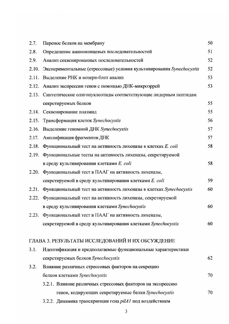 структур в клетках Грамотрицательных бактерий 