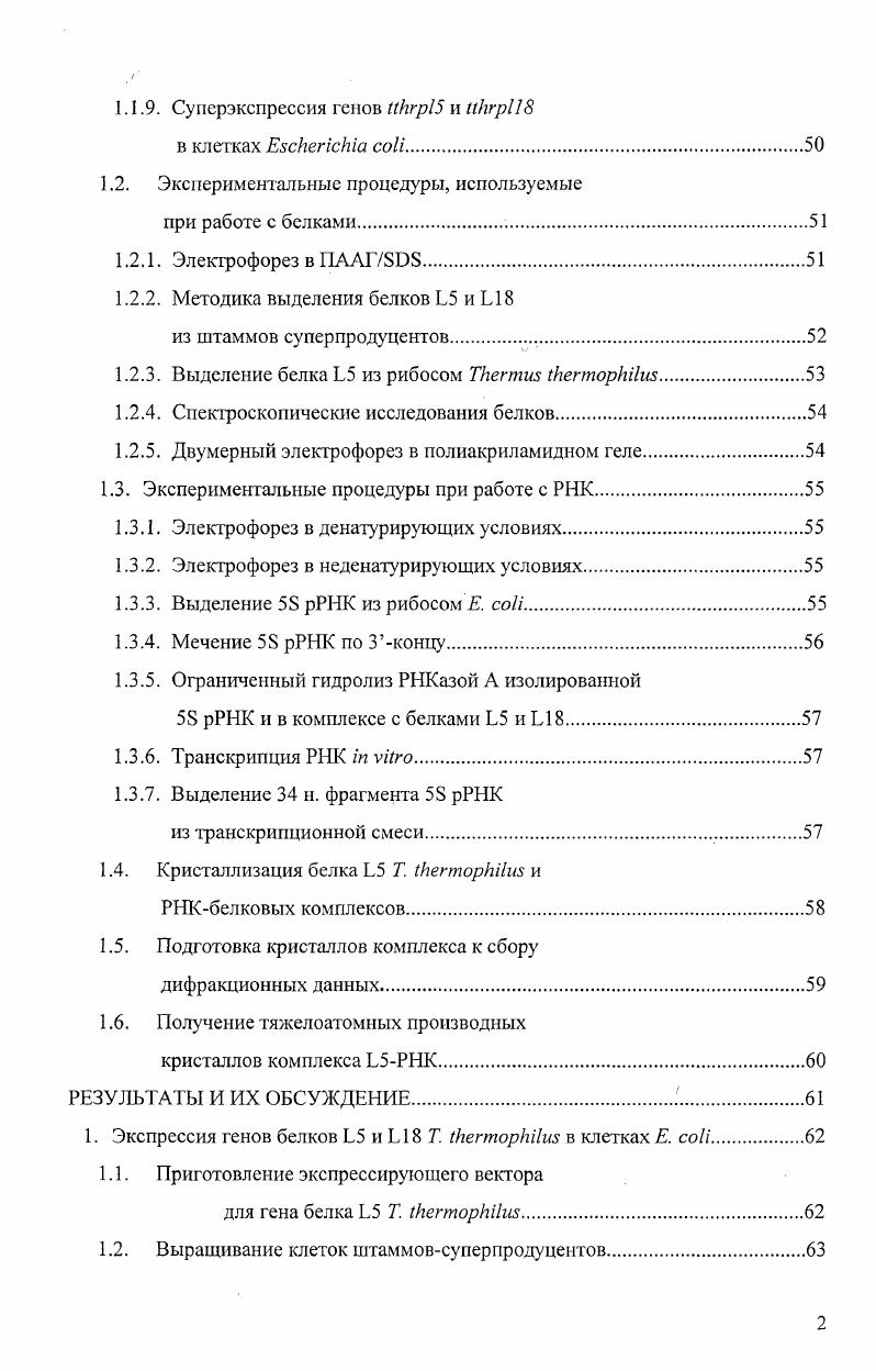 2. Структурная организация рибосомных белков