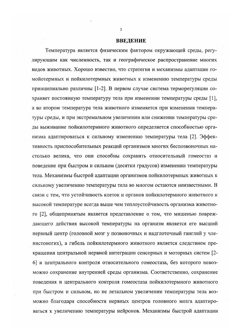 1.2. Механизмы функционирования нервных центров 