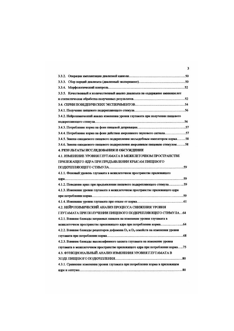 2.1.1. Внутренняя организация прилежащего ядра