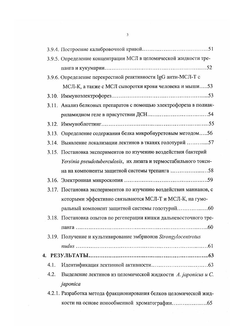 4.8.2. Распределение МСЛТ в регенерирующих тканях кишки дальневосточного трепанга.