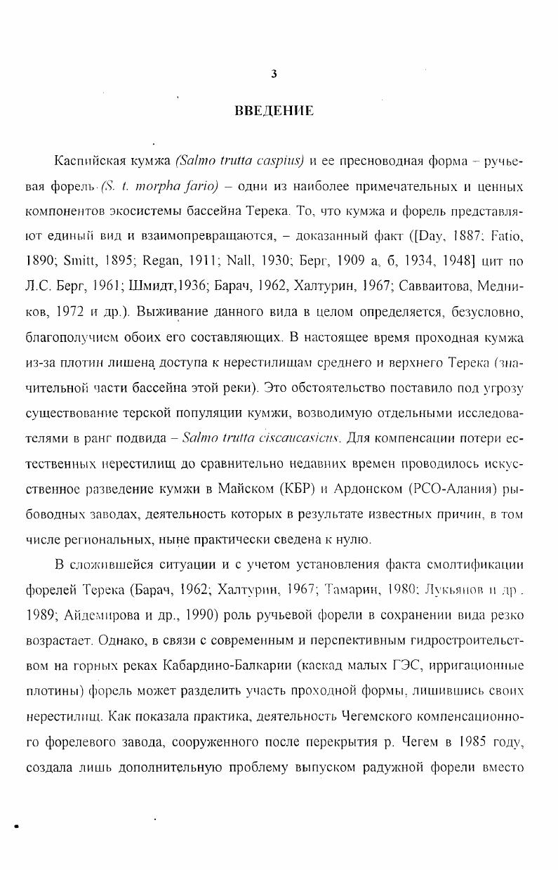 1Л. Общие сведения о ручьевой форели