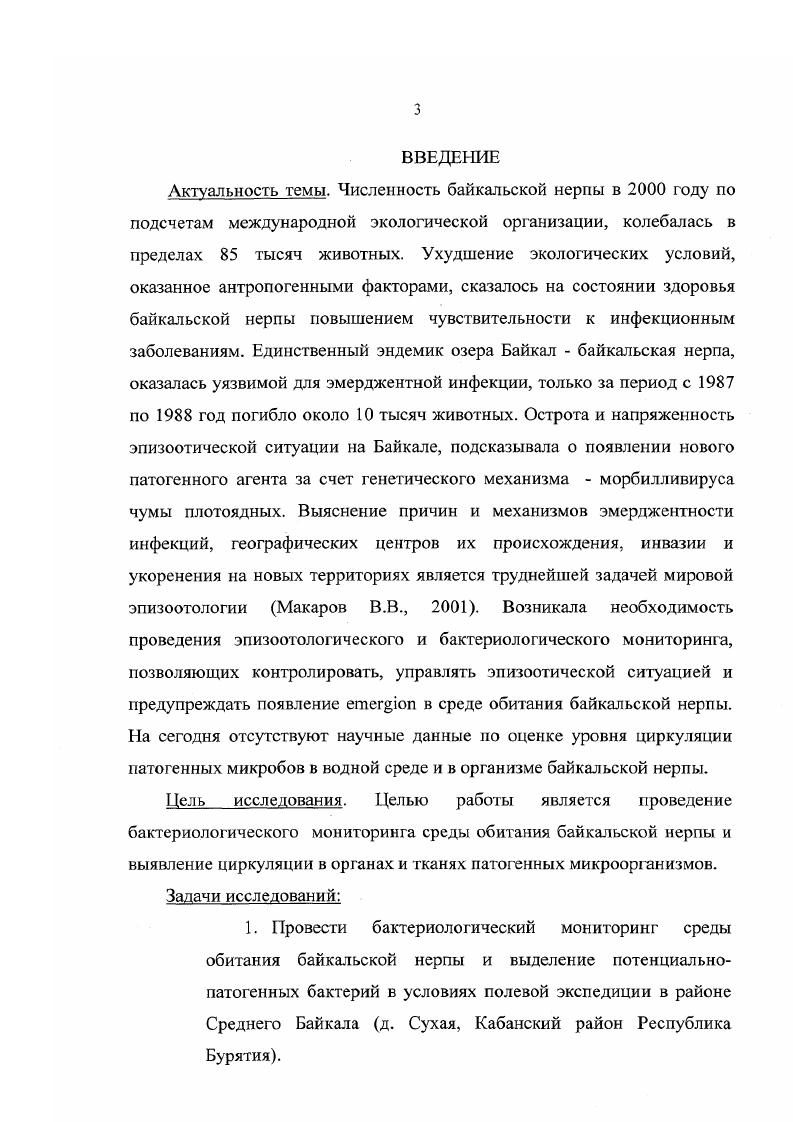 1.2. Системагическое положение нерпы и ее участие в биоценозах озера Байкал