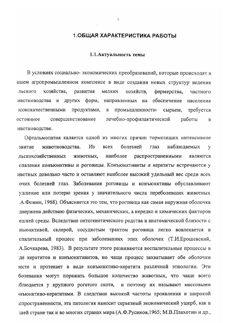 мухами. В основном хламидийная инфекция имеет местный характер. Хламидиоз первично поражает органы дыхания, желудочнокишечный тракт, слизистую оболочку глаза. Хламидийная инфекция в чистом виде существует только в начальной стадии болезни. Воздействуя на клетки слизистых оболочек глаза, хламидии создают благоприятные условия для развития другой микрофлоры И. Л.Обухов,. Вследствие этого возникает смешанная или вторичная инфекция, которая протекает значительно тяжелее, чем чистый хламидиоз. Некоторые авторы сообщают о выявлении при бактериологическом исследовании глаз животных больных конъюнктивокератитом одновременно ii ii и x vi . Инвазионный конъюнктивокератит. Так же как и инфекционный конъюнктивокератит это массовое заболевание животных, при котором поражается главным образом конъюнктива и роговица. Заболеванию подвержены главным образом крупный рогатый скот. Возбудителями являются нематоды телязии, относящиеся к семейству ii подотряда i В. Е.Соколов, . Заболевание иногда называют телязиозом глаз. Для каждого вида животного телязии специфичны. В настоящее время описано наиболее детально биологический цикл развития у трех видов телязии, встречающихся главным образом у крупного рогатого скотаi i, i , i ii. Друг от друга они отличаются морфологическими признаками Н. И.Крастин, ,. Она желтосоломенного цвета. Длина нематоды мм. Кутикула гельминта поперечна исчерчена и как бы зазубрина. Личинки имеют длину тела 0,, мм. Головной конец у них утолщен, на хвостовом конце имеется ланцетовидный чехлик. Мертвые личинки принимают серповидноизогнутую форму. Обычно паразит локализируется в конъюнктивальном мешке, чаще за третьем веком. Длина самца 5,,1мм, самки 6мм, локализируется в выводных протоках слезной железы верхний свод конъюнктивального мешка. 