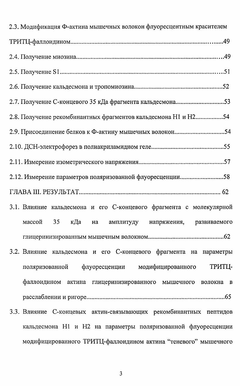 1.3. Области связывания актина с миозином.
