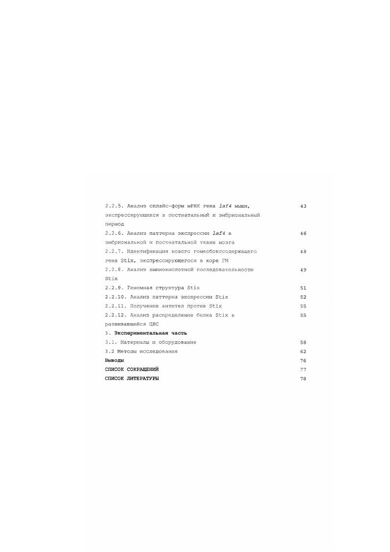 1.2. Структура коры головного мозга 