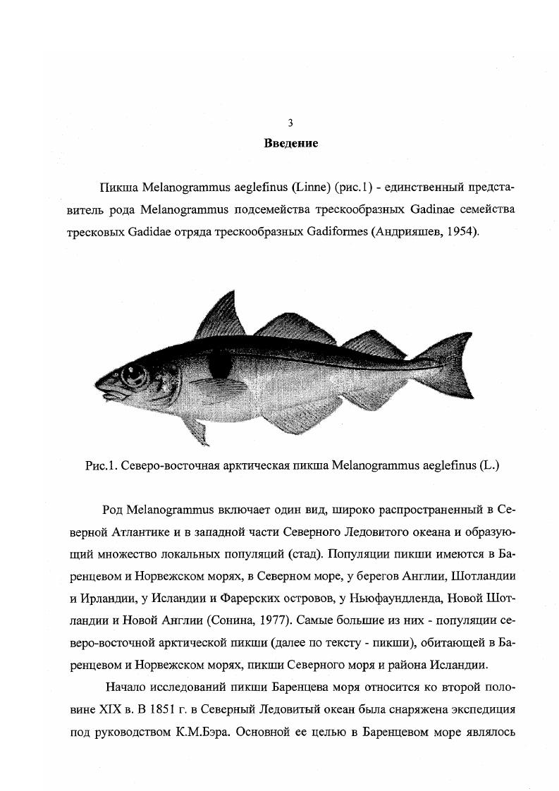 2.1. Влияние урожайности поколений на динамику вылова 