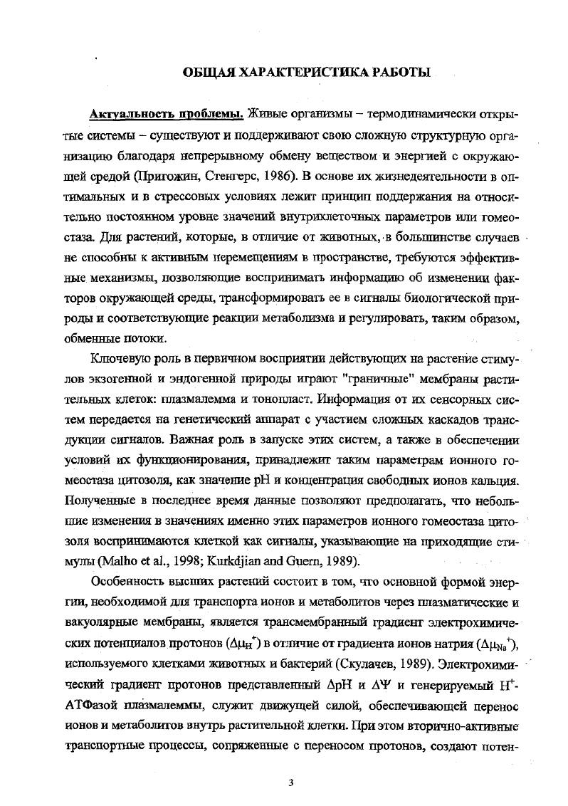 Диссертация в виде научного докладе