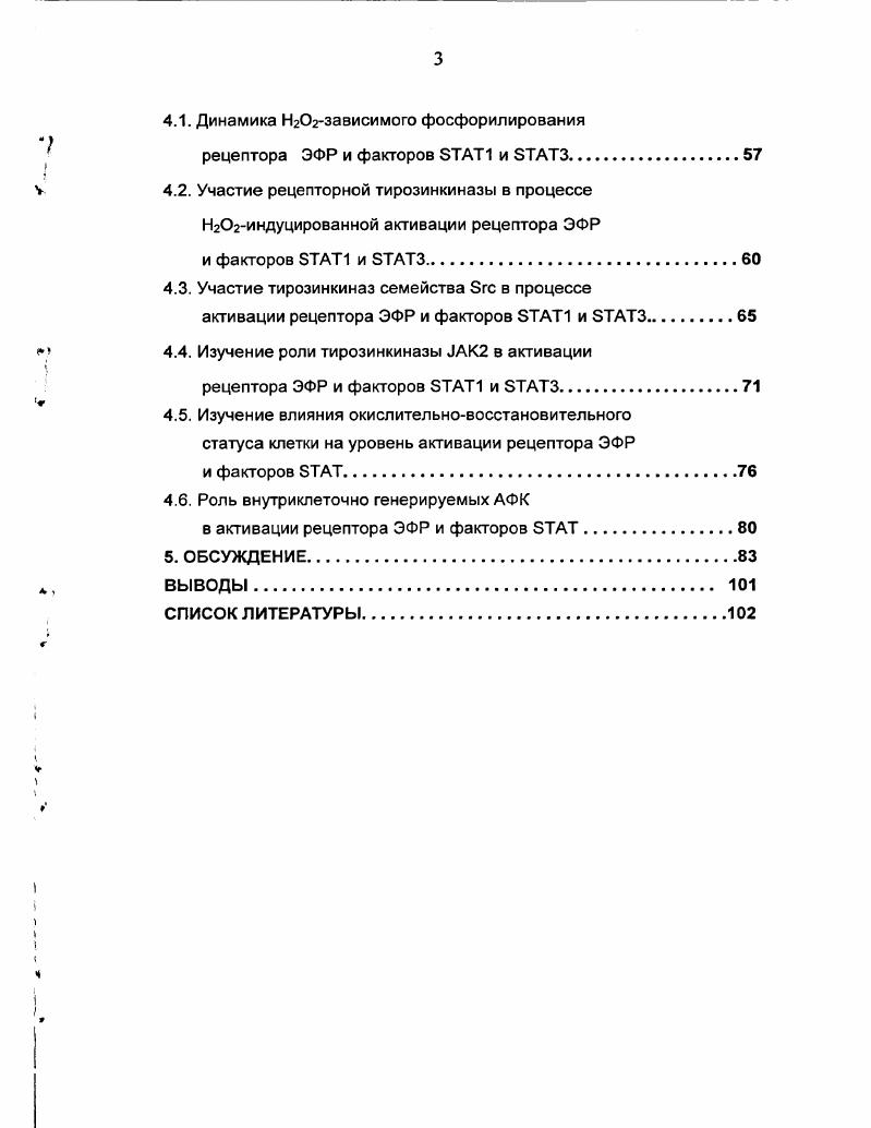 2.2. Фосфорилирование рецептора ЭФР
