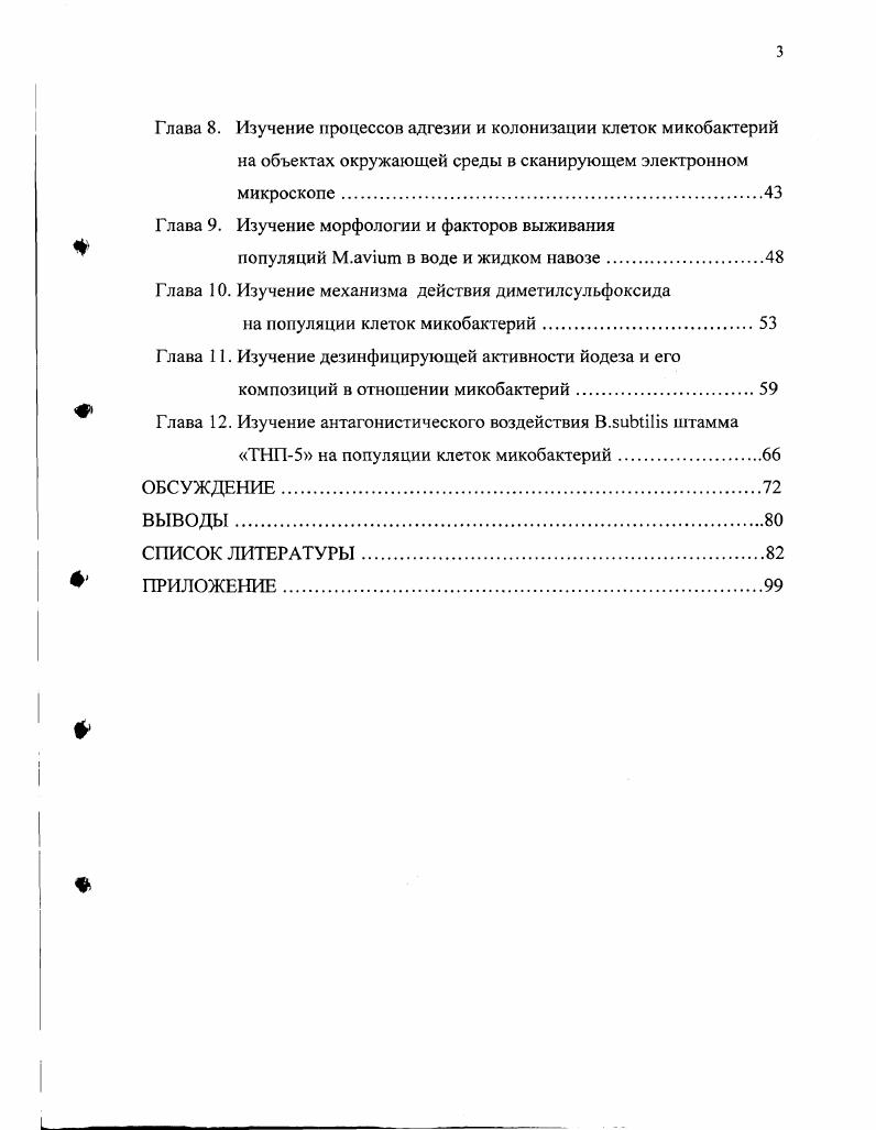 Глава 2. Особенности строения клеточной стенки