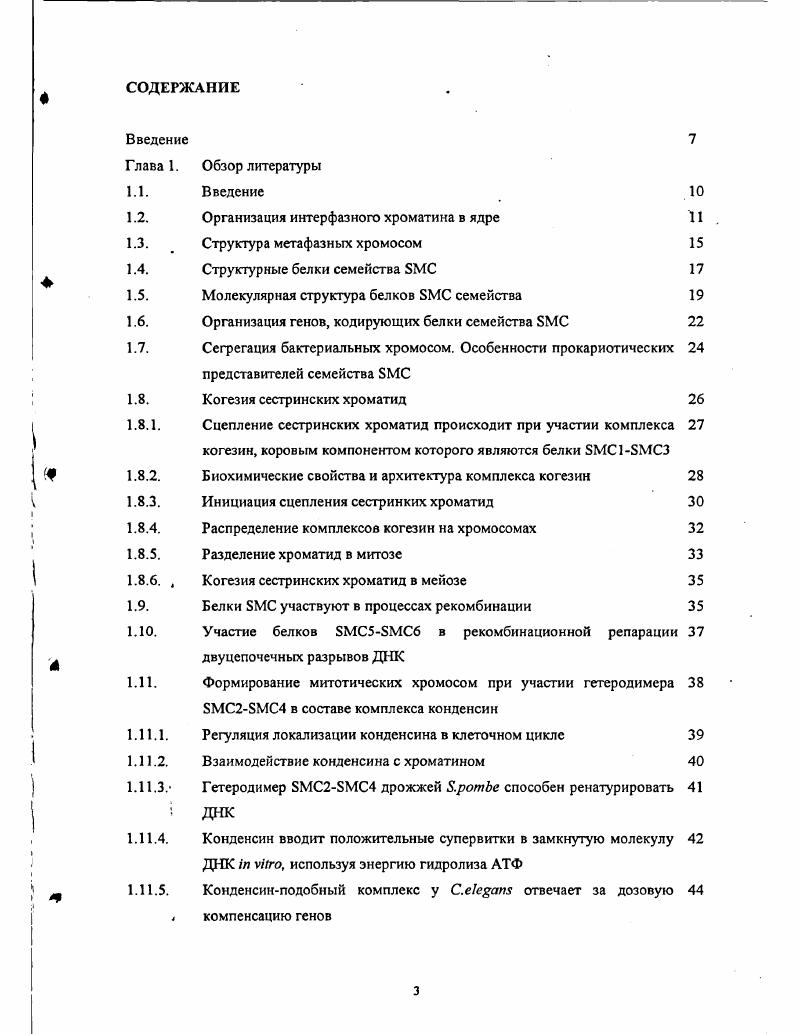 1.3. Структура метафазных хромосом 