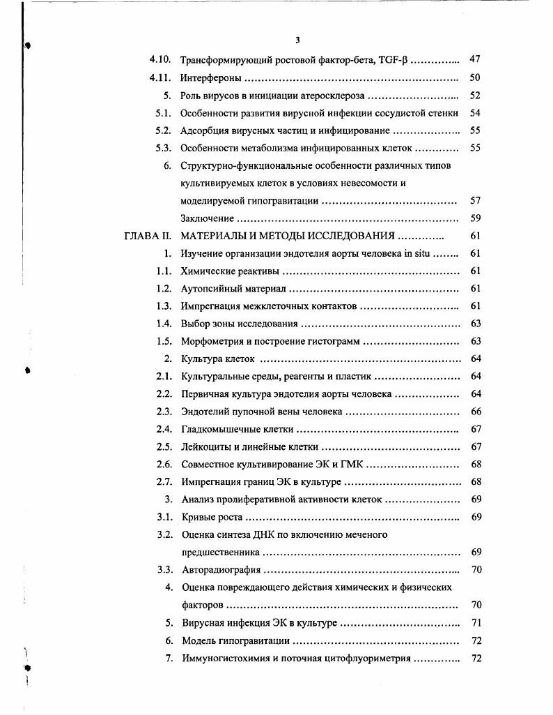 2. Морфологическая гетерогенность эндотелия человека 